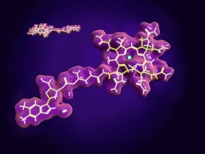 Volkskrankheit Vitamin B12-Mangel