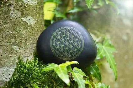 Die Blume des Lebens und die heilige Geometrie