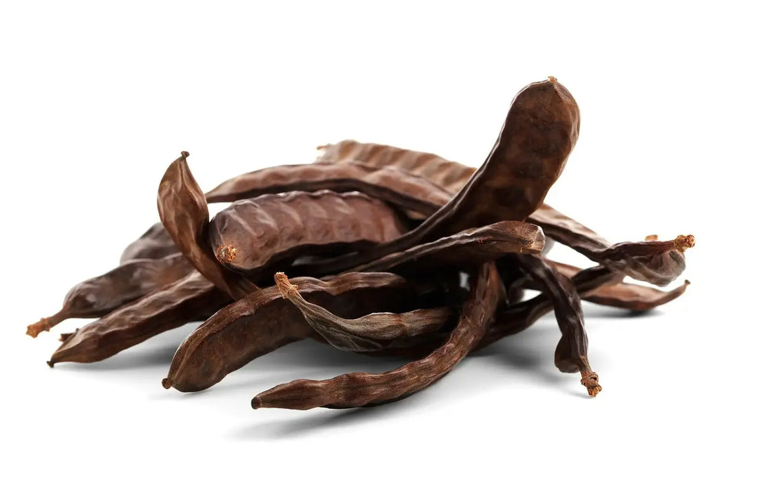 Blog: Carob - Ein wertvolles Lebensmittel mit besonderen gesundheitsfördernden Eigenschaften | Regenbogenkreis
