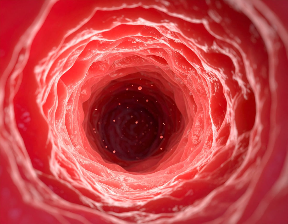 Biofilm im Darm entfernen