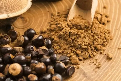 Guarana – natürlicher Muntermacher