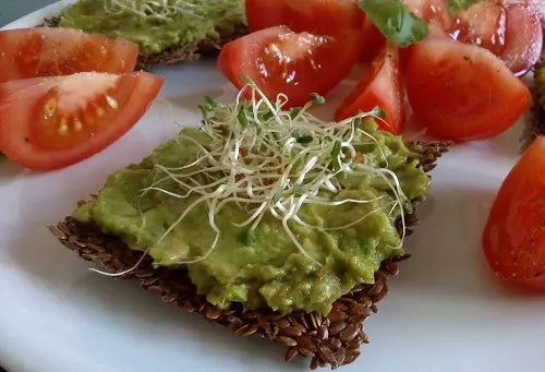 Herzhafte Leinsamen-Cracker aus dem Dörrautomaten