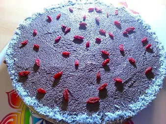 Vegane Rohkost-Mohntorte 