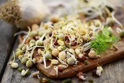 Hausgemachtes Superfood: So ziehst Du Sprossen selbst