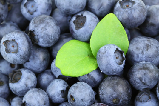 Waldheidelbeere: 11 erstaunliche Gesundheitswirkungen der Superbeere