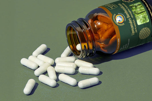 Liposomal - Was bedeutet das?