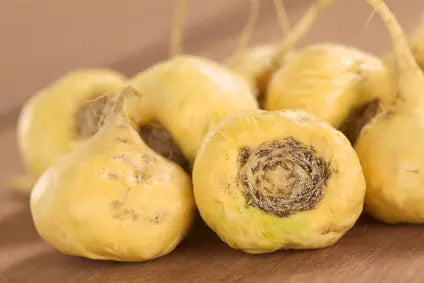 Maca