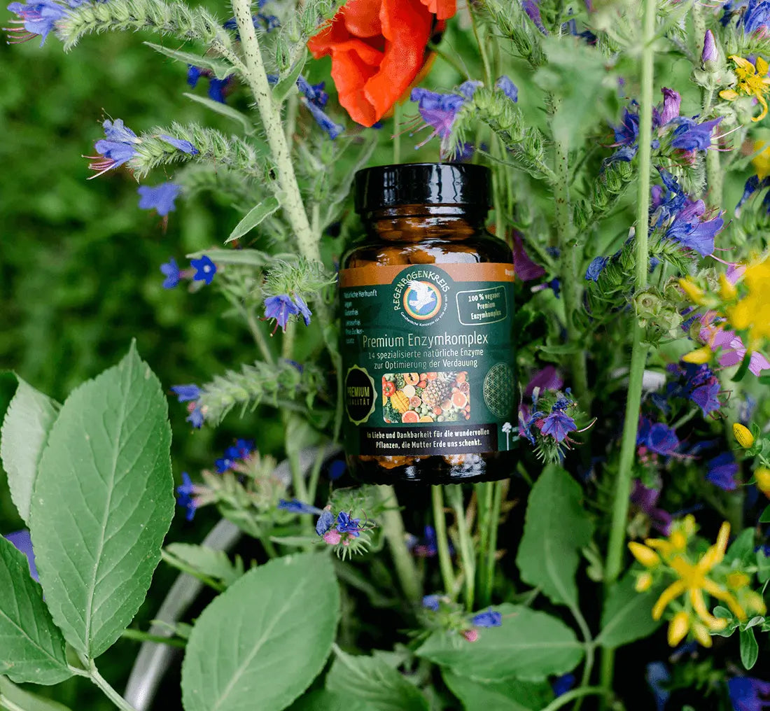 Premium Enzym Komplex, 60 Kapseln, vegan