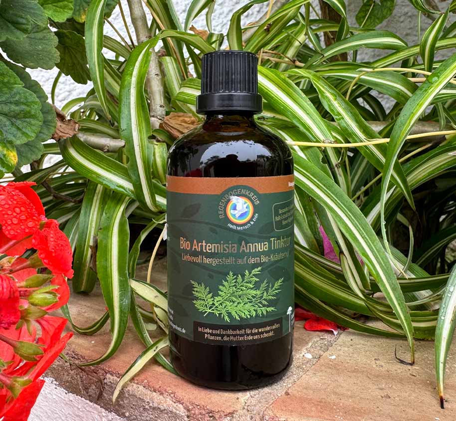 Bio Premium Artemisia Annua Tinktur, 100 ml (vegan)