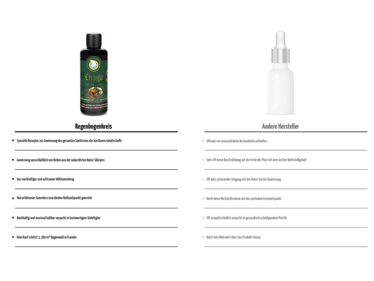 Premium Chaga Tinktur, 100 ml