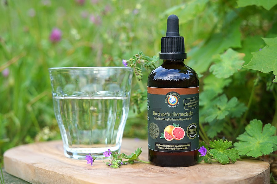 Bio Grapefruitkernextrakt 800 mg, 100 ml, Rohkostqualität (raw)