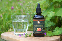Bio Grapefruitkernextrakt 800 mg, 100 ml, Rohkostqualität (raw)