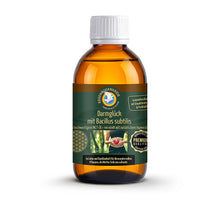 Darmglück mit Bacillus subtilis, 150 ml