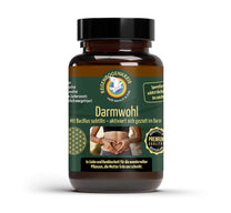 Darmwohl – sporenbasierte Probiotika, 30 Kapseln