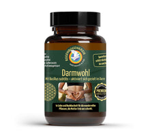 Darmwohl – sporenbasierte Probiotika, 30 Kapseln