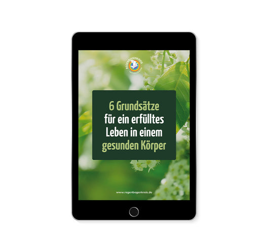 6 Grundsätze für ein erfülltes Leben (E-Book)