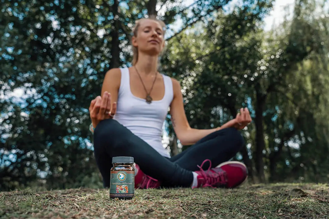 Premium Liposomale Multivitamine, 30 Kapseln, vegan