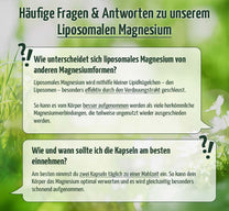 Premium Liposomales Magnesium, 60 Kapseln