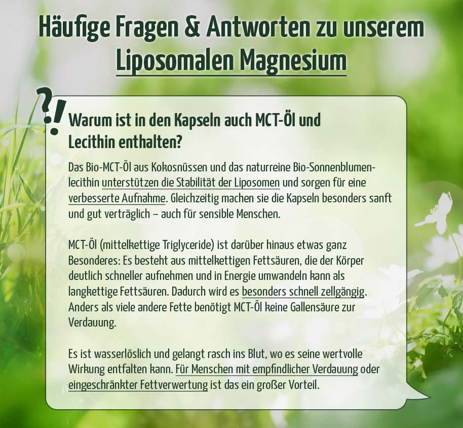Premium Liposomales Magnesium, 60 Kapseln