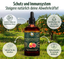 Bio Grapefruitkernextrakt 800 mg, 100 ml, Rohkostqualität (raw)