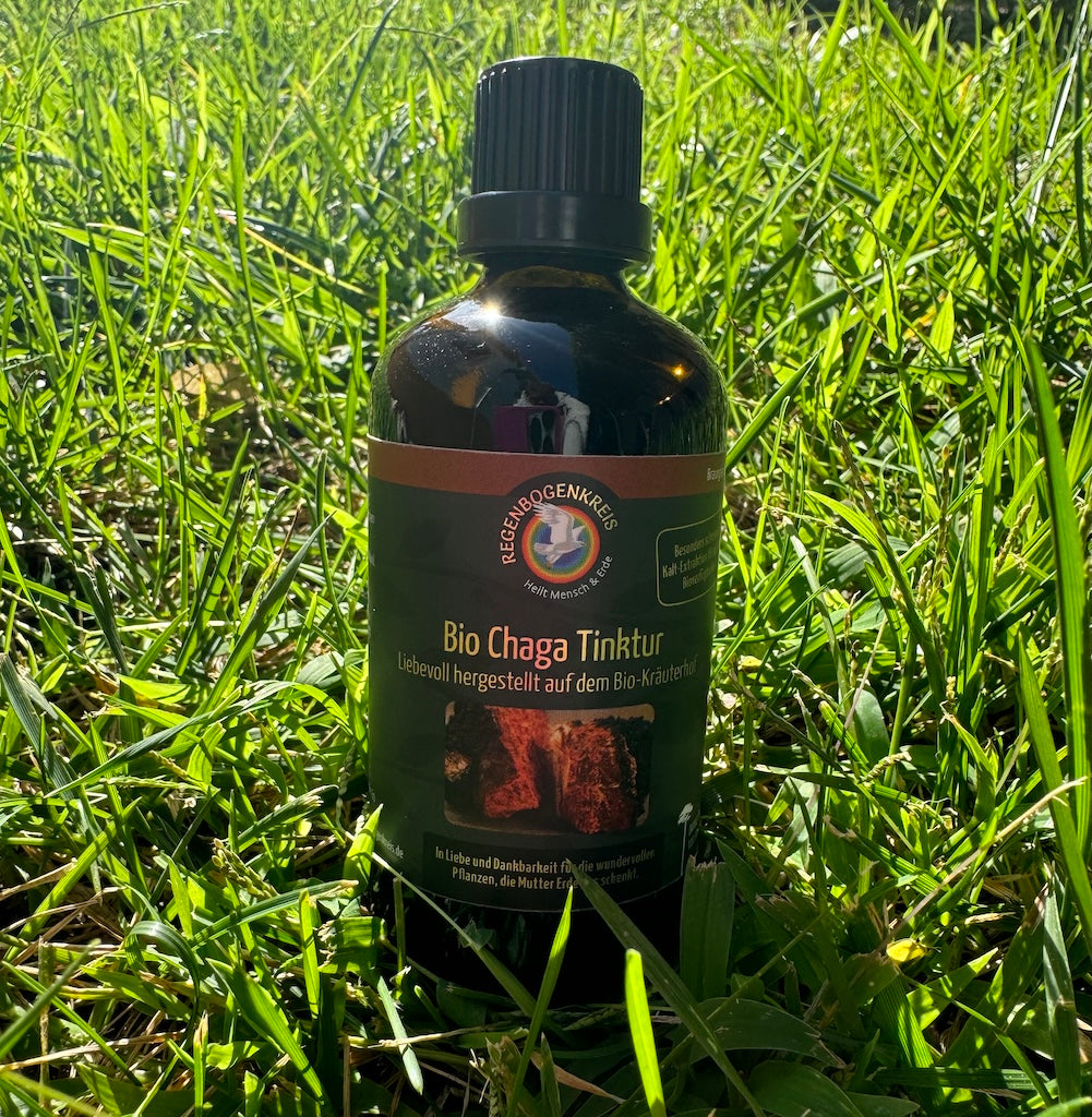 Premium Chaga Tinktur, 100 ml