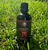 Premium Chaga Tinktur, 100 ml