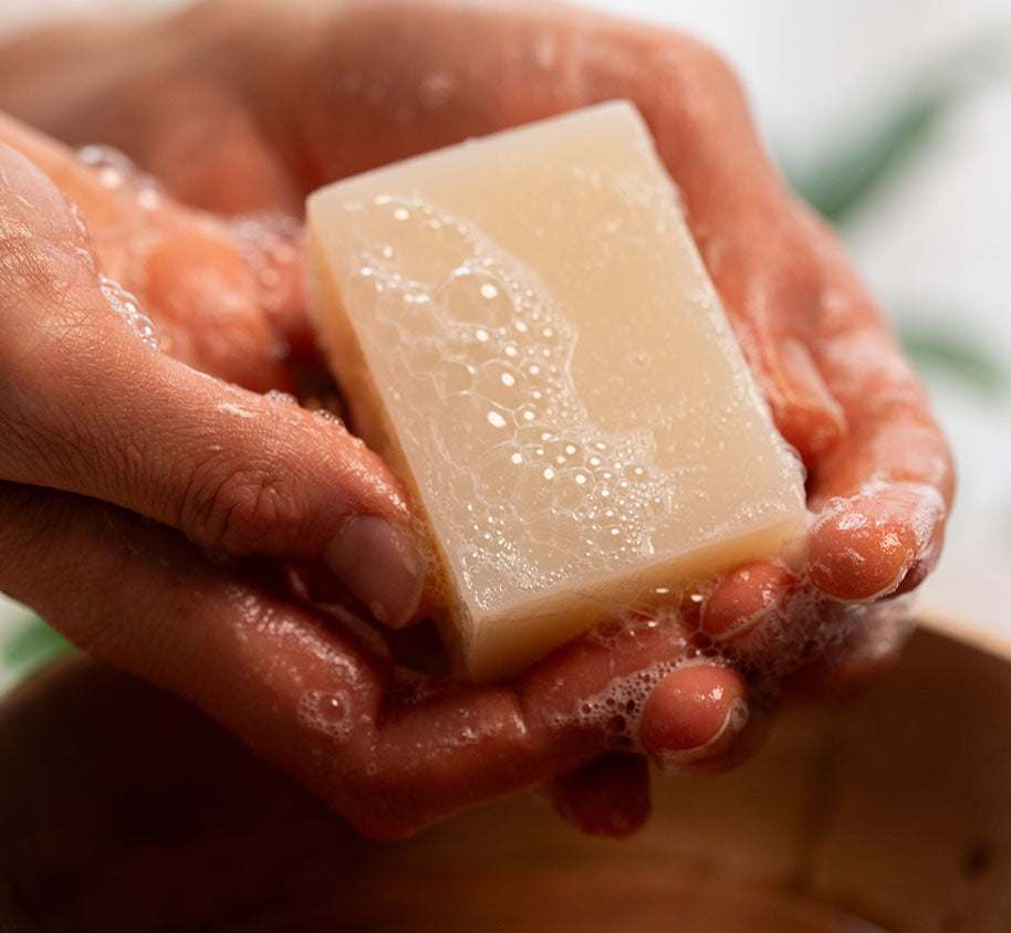 Sheabutter Seife in Bio-Qualität