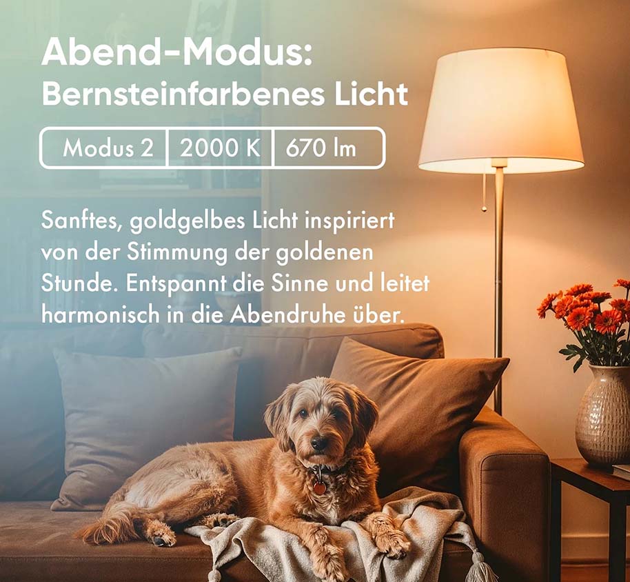 Neowake Vollspektrum Glühbirne Chroma Light