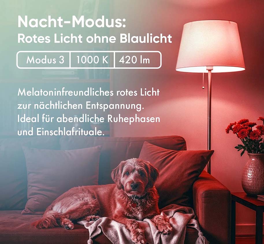 Neowake Vollspektrum Glühbirne Chroma Light