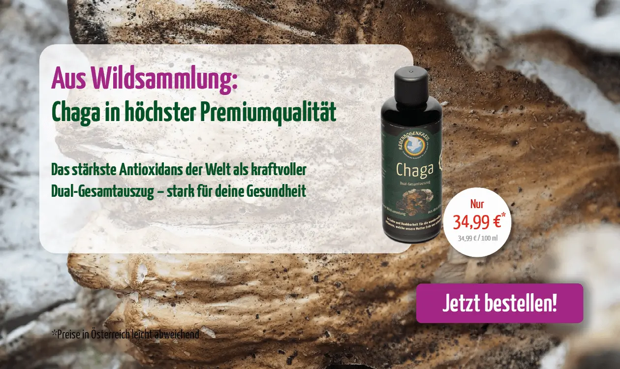 https://www.regenbogenkreis.de/chaga-tinktur-wildsammlung-100-ml/