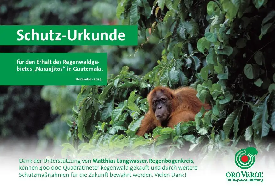 Regenwaldschutzurkunde über 400000 m²