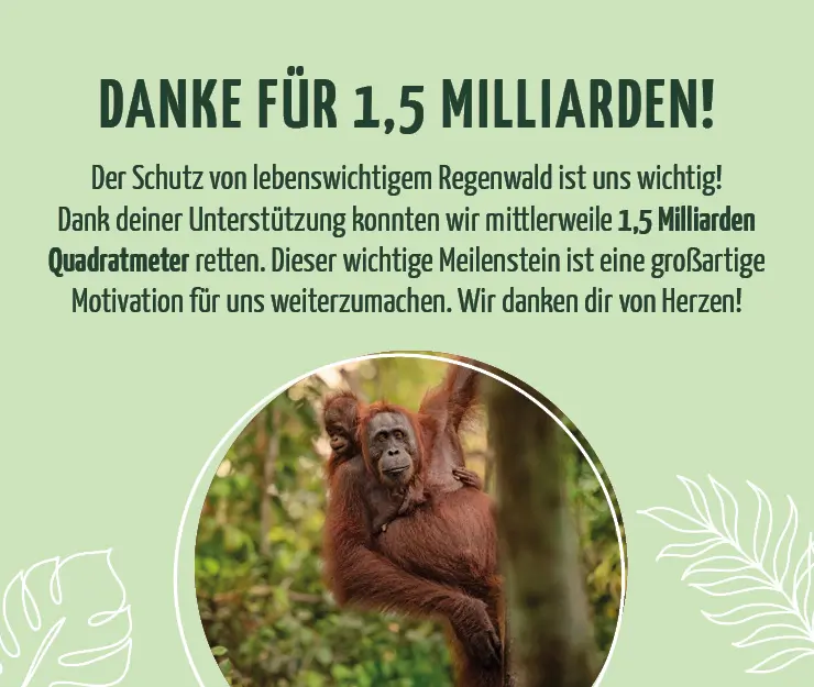 Regenwaldschutz - Danke für 1 Milliarde!