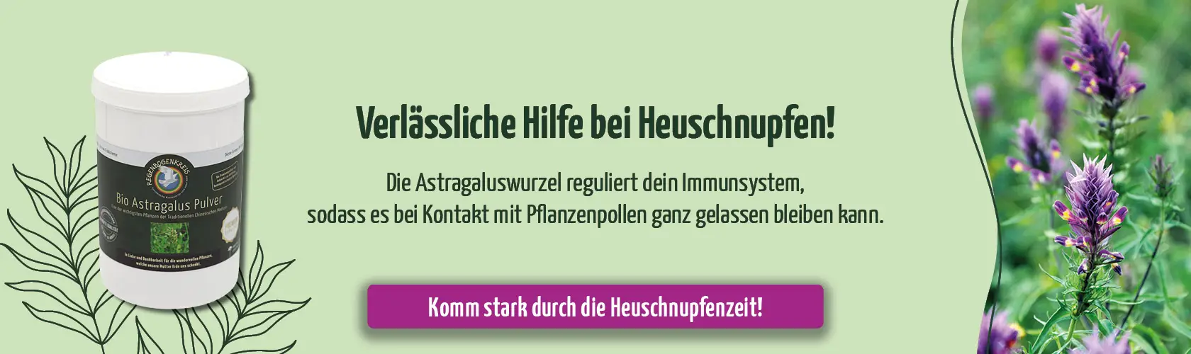 https://www.regenbogenkreis.de/astragalus-pulver-bio-rohkost/