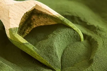 Blog: Chlorella: Das große Potenzial der Superfood-Alge | Regenbogenkreis