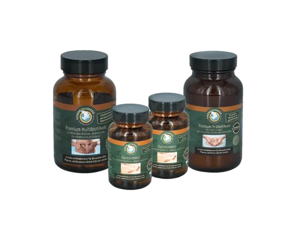 Darm Aufbau Set