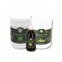 Pollen Set