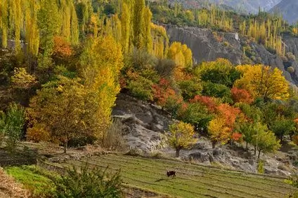 Hunza Tal