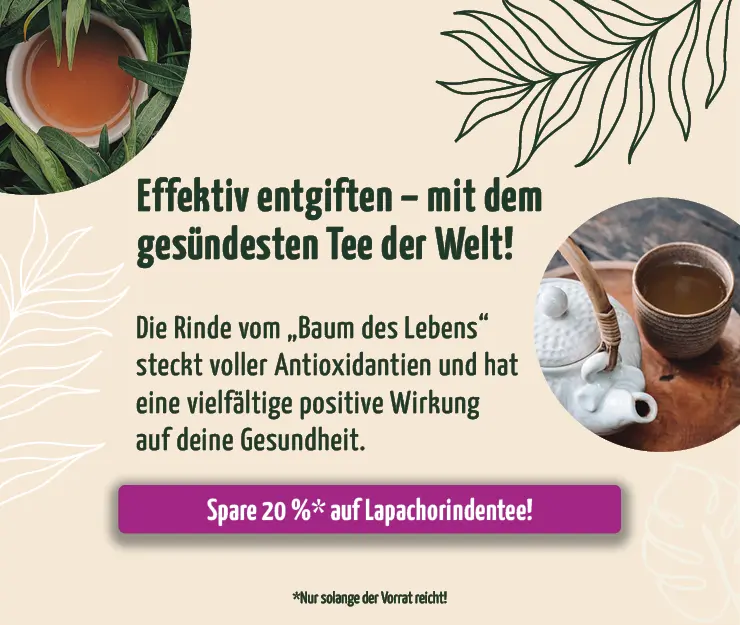 https://www.regenbogenkreis.de/lapachorinden-tee-wildsammlung-rohkost/