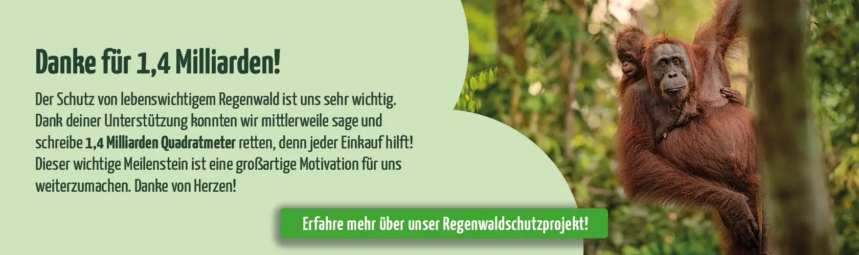 media/image/Banner-1-4-Mrd-Regenwald-Fullwidth.jpg