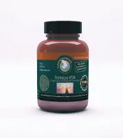 Premium MSM, 90 Kapseln
