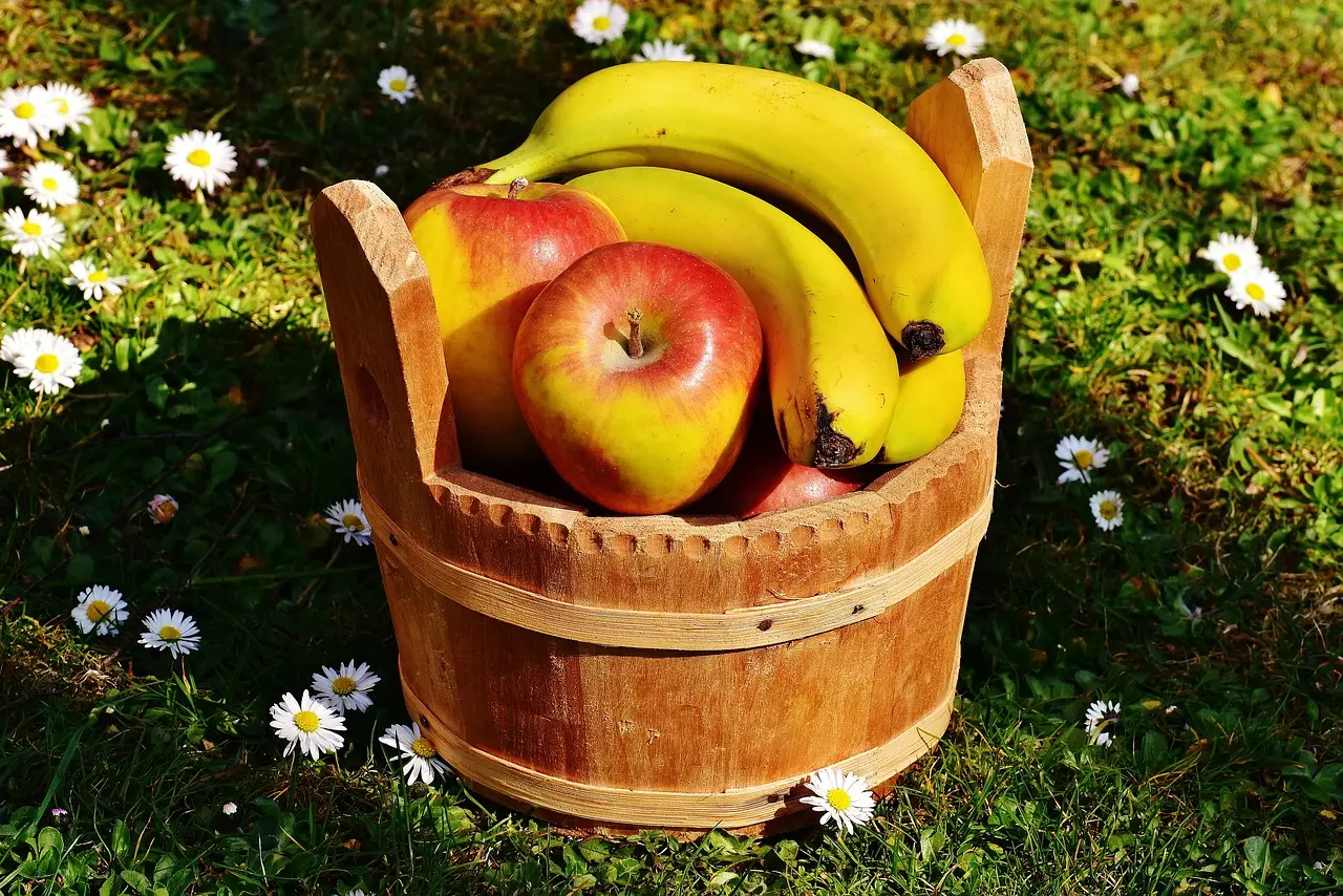 Vegane Apfel-Bananen-Muffins | Regenbogenkreis
