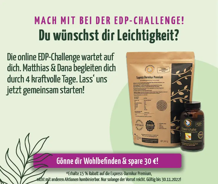 https://mein.regenbogenkreis.de/edp-challenge