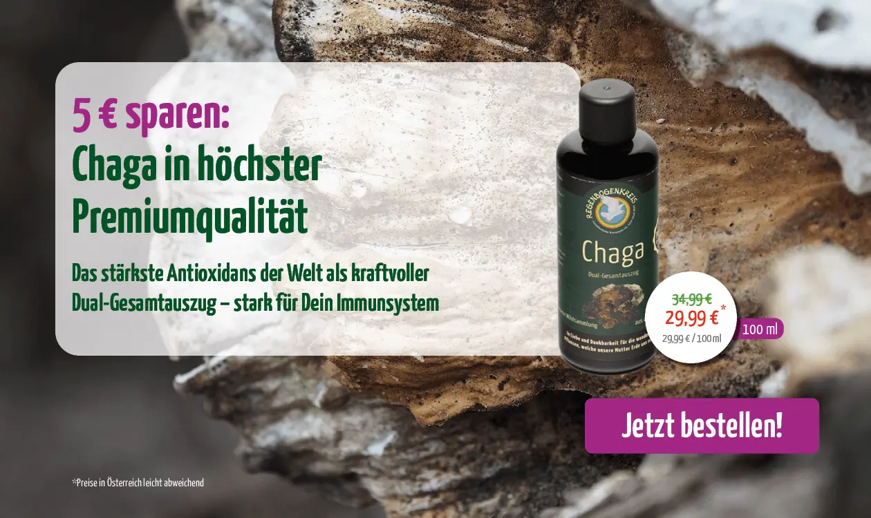 https://www.regenbogenkreis.de/chaga-tinktur-wildsammlung-100-ml/