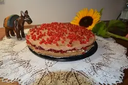 Himmlischer Rohkostkuchen