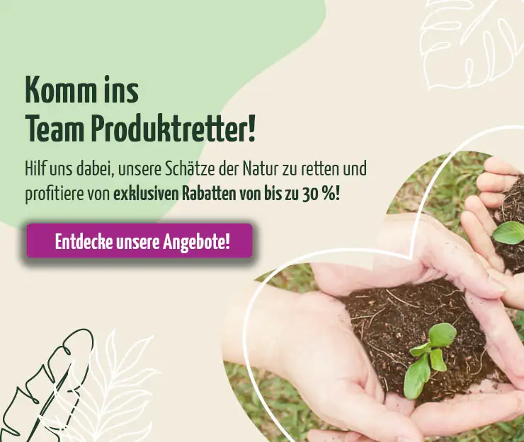 https://www.regenbogenkreis.de/angebote/