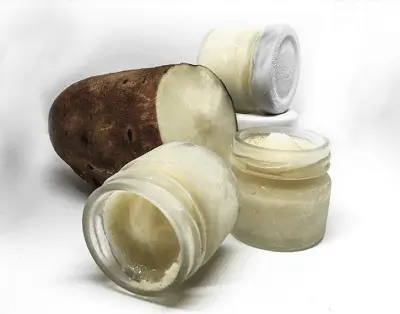 Yakon-Mus mit Zitrone verfeinert 50ml Bio, Rohkost, 30 Stück