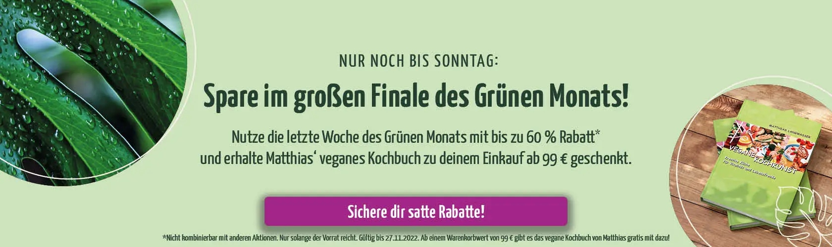 https://www.regenbogenkreis.de/regenwaldschutz/