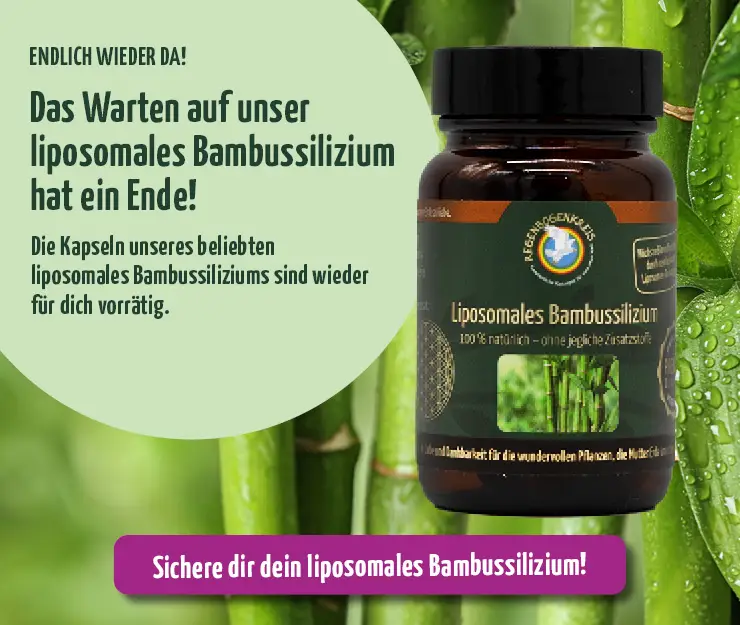 https://www.regenbogenkreis.de/liposomales-bambussilizium-30-kapseln/