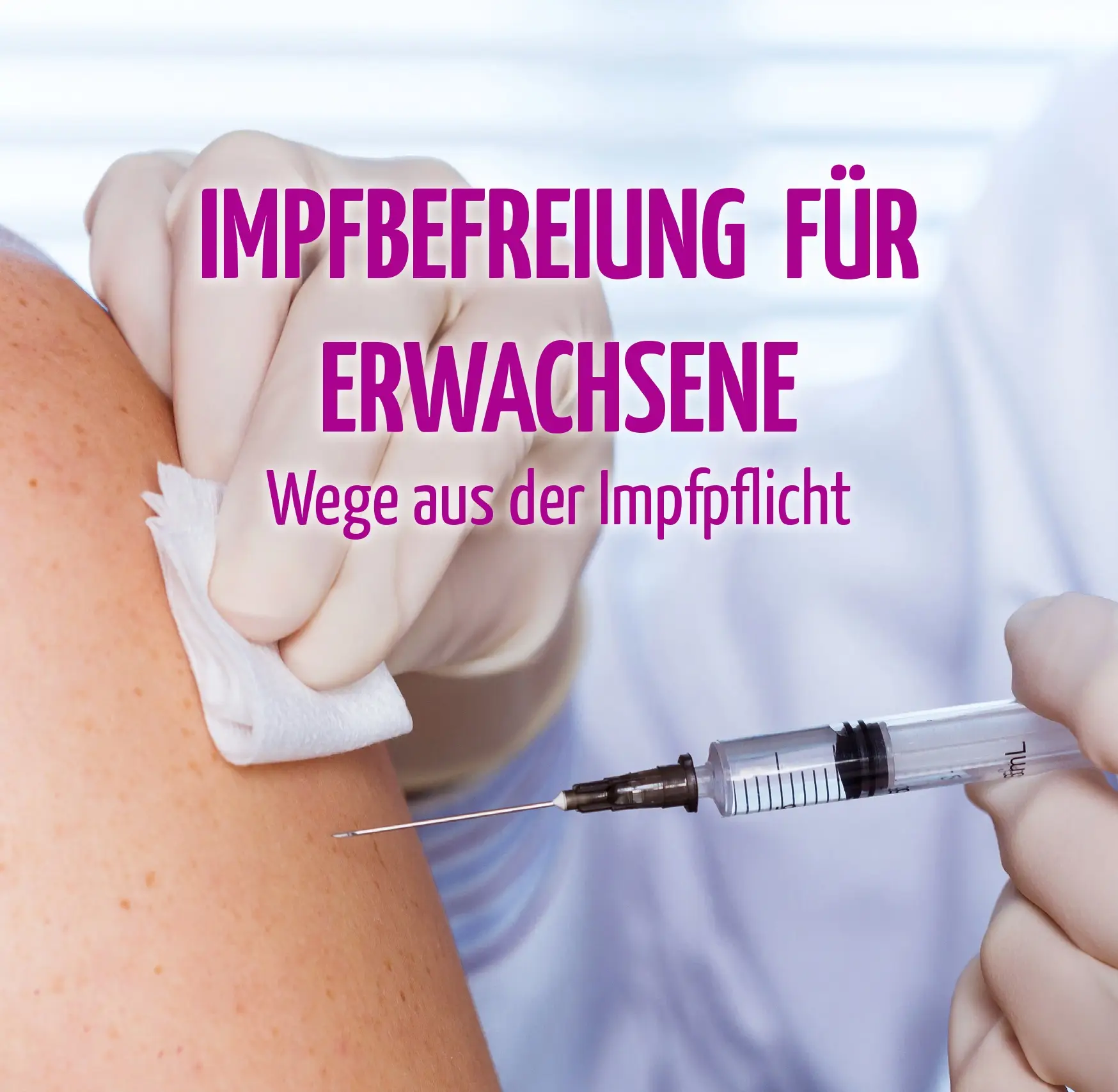 E-Book, 97 Seiten Image