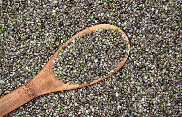 Hanfsamen Superfood